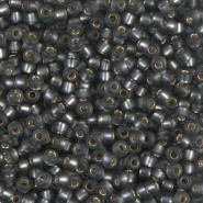Miyuki seed beads 8/0 - Matte silverlined gray 8-21F